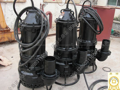 云南昆明經(jīng)銷(xiāo)商訂購潛水泥漿泵NSQ25-40-15一臺