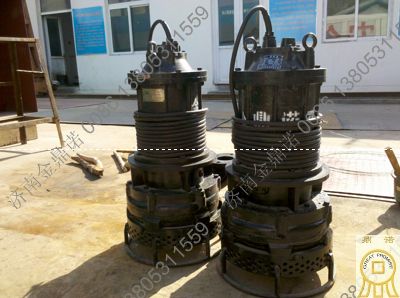 福建客戶(hù)訂購的潛水吸沙泵