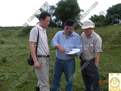 抽沙場(chǎng)地勘測