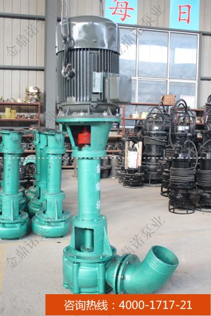 8寸<a href='http://m.9626262.com/lishixishabeng.shtml' class='keys' title='點(diǎn)擊查看關(guān)于立式吸沙泵的相關(guān)信息' target='_blank'>立式吸沙泵</a>