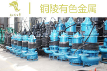 [安徽]銅陵有色金屬選購NSQ型潛水泥沙泵