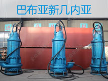 110千瓦潛水抽砂泵，漂洋過(guò)海到巴新